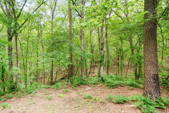 73 PERRALENA WAY, Hot Springs Village, AR 71909