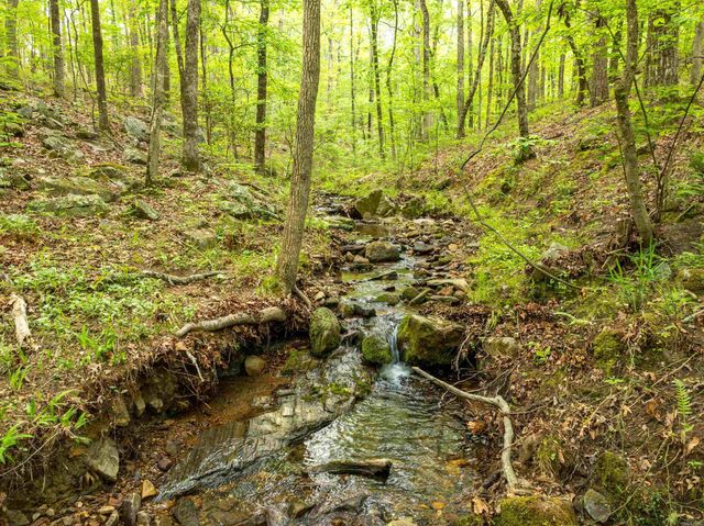 73 PERRALENA WAY, Hot Springs Village, AR 71909