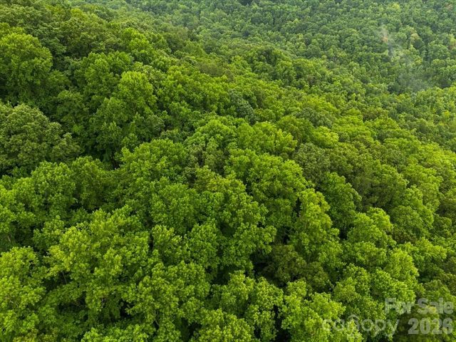 TBD Hemlock Circle 132, Black Mountain, NC 28711