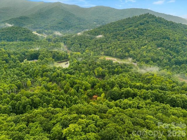 TBD Hemlock Circle 132, Black Mountain, NC 28711