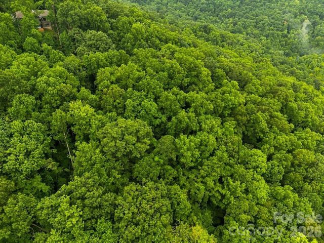 TBD Hemlock Circle 132, Black Mountain, NC 28711