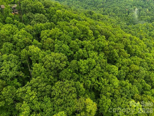 TBD Hemlock Circle 132, Black Mountain, NC 28711
