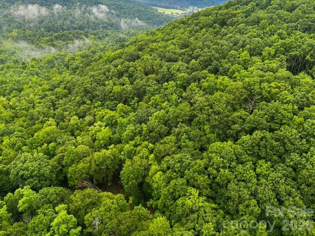 TBD Hemlock Circle 132, Black Mountain, NC 28711