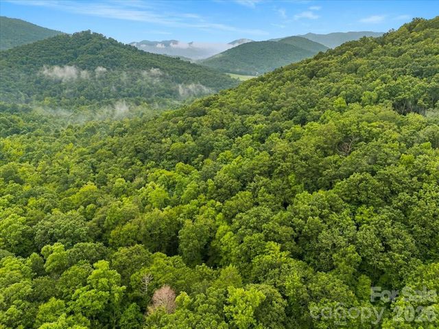 TBD Hemlock Circle 132, Black Mountain, NC 28711