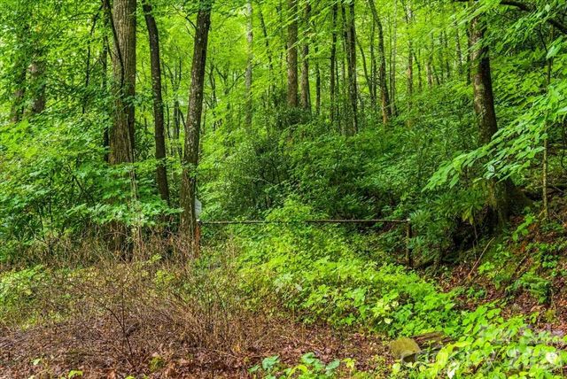 TBD Hemlock Circle 132, Black Mountain, NC 28711