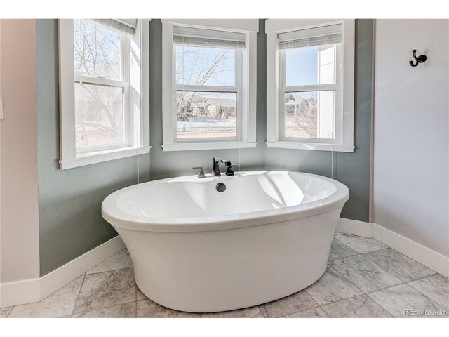 817 Shade Tree Dr, Windsor, CO 80550