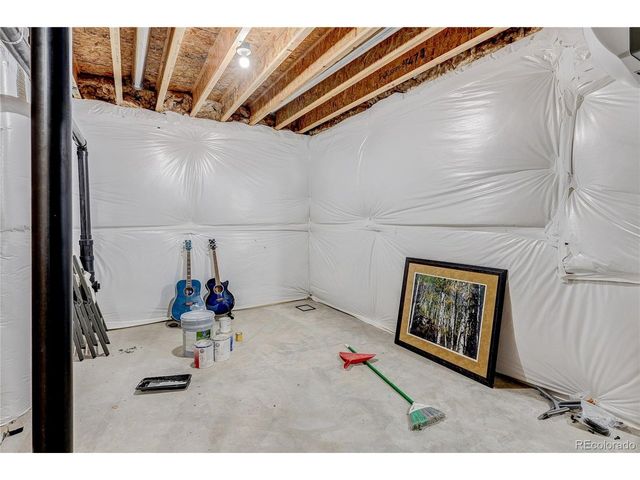 817 Shade Tree Dr, Windsor, CO 80550