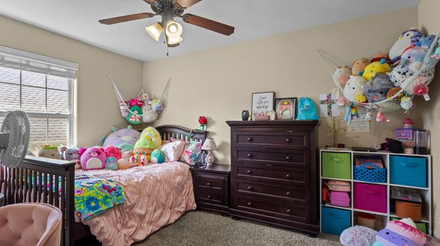 1157 S Maple Grove Avenue, Springfield, MO 65804