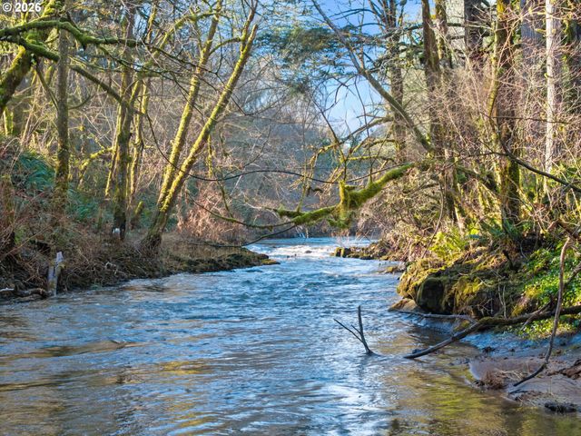 451 ELK CREEK Rd, Chehalis, WA 98532