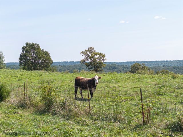 43286 Earls Road, Howe, OK 74940