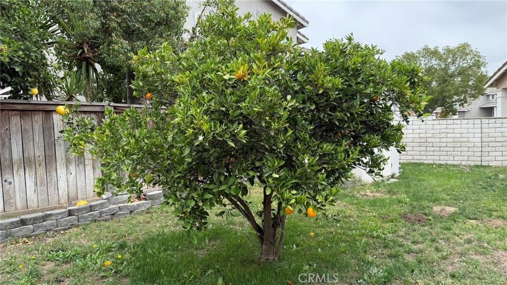 Image 44 of property listing at 3142 Stallion, Ontario, CA 91761