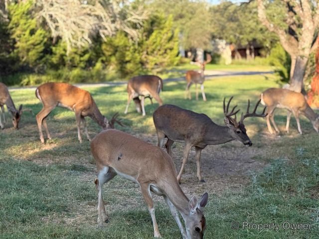 400 Bedford DR, Spicewood, TX 78669