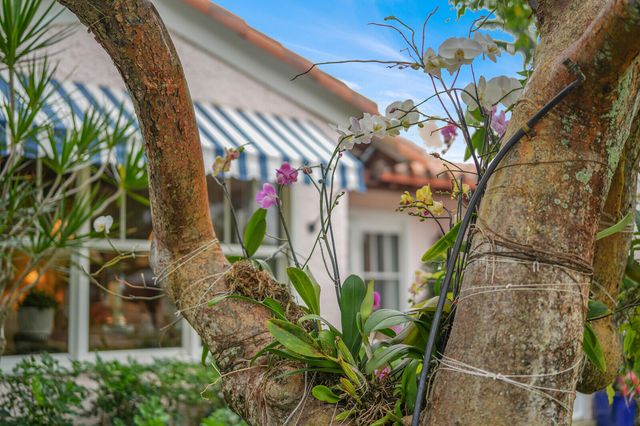 118 N Dixie Boulevard, Delray Beach, FL 33444