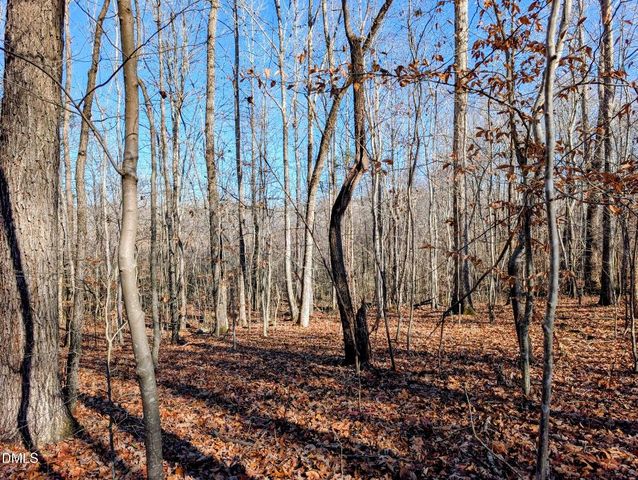 0 Benwich Lane, Efland, NC 27243