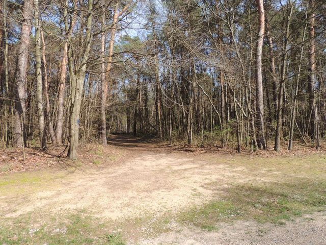 6342 Old Allegan Road, Saugatuck, MI 49453