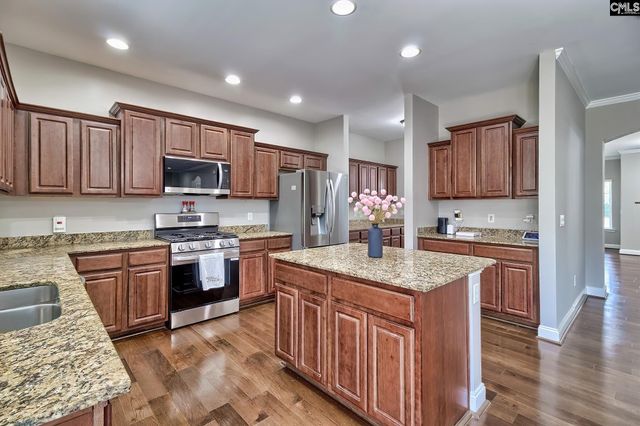 208 Woolbright Lane, Chapin, SC 29036