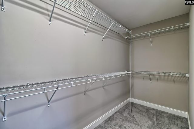 208 Woolbright Lane, Chapin, SC 29036
