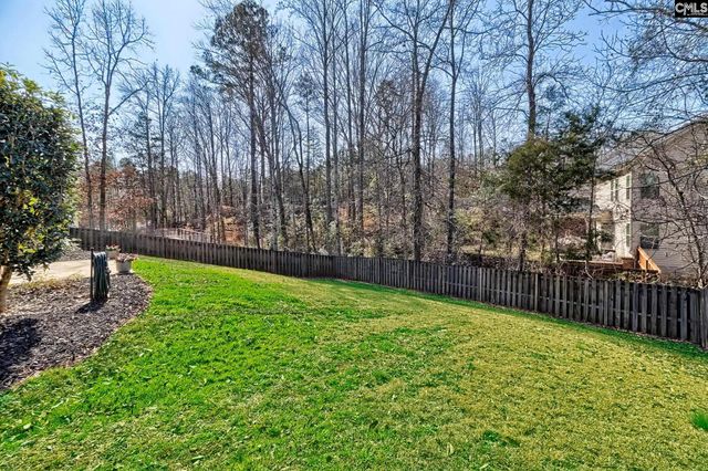 208 Woolbright Lane, Chapin, SC 29036