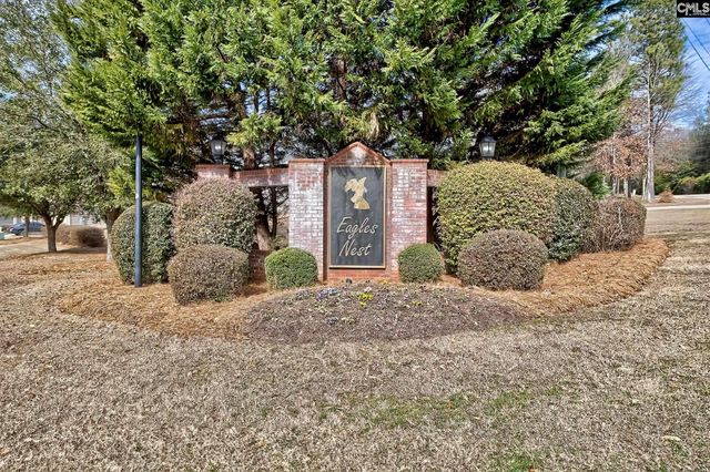 208 Woolbright Lane, Chapin, SC 29036