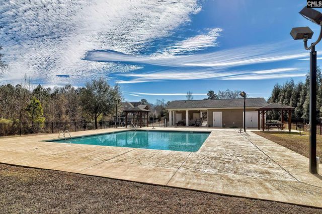 208 Woolbright Lane, Chapin, SC 29036