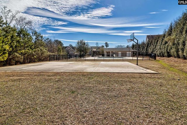 208 Woolbright Lane, Chapin, SC 29036