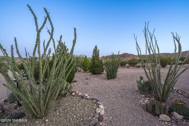 22205 N Valley Drive, Radium Springs, NM 88054