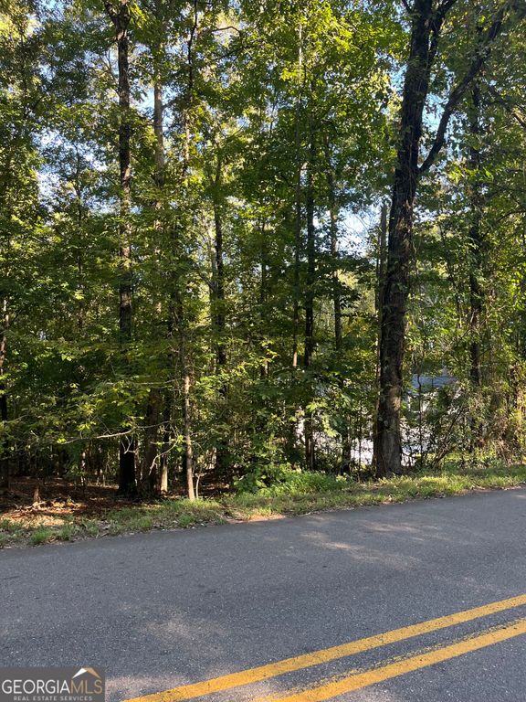 0 Young Deer Drive, Cumming, GA 30041 — photo 4
