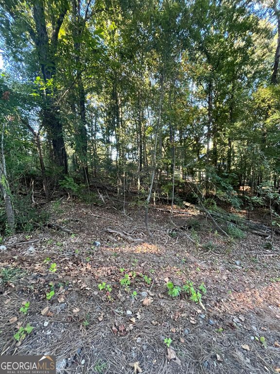 0 Young Deer Drive, Cumming, GA 30041 — photo 5