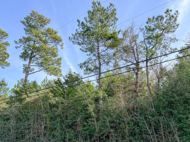 T-1 Lakeview Road, Vidor, TX 77662