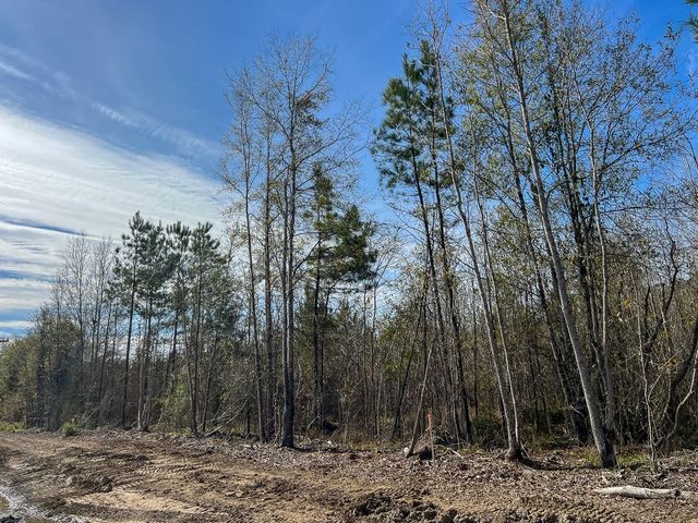 T-1 Lakeview Road, Vidor, TX 77662