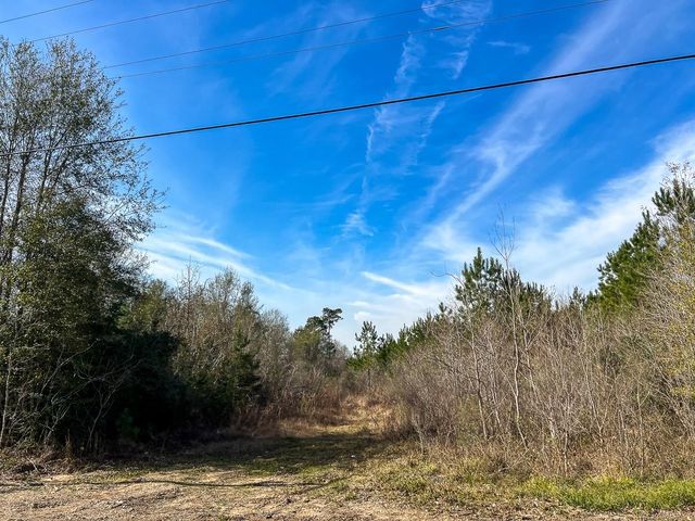 T-1 Lakeview Road, Vidor, TX 77662