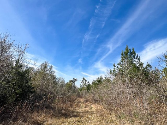 T-1 Lakeview Road, Vidor, TX 77662