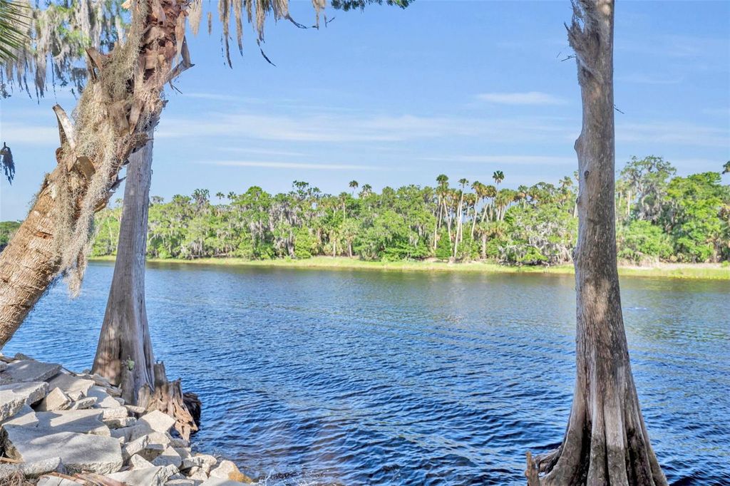 Image 50 of property listing at 430 CYPRESS ISLES ROAD, Osteen, FL 32764