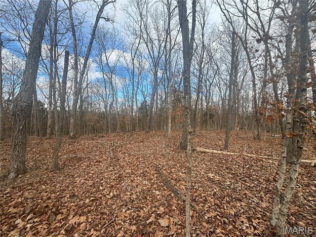 o Holtwick Trail, Robertsville, MO 63072