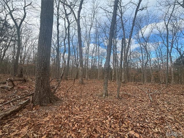 o Holtwick Trail, Robertsville, MO 63072