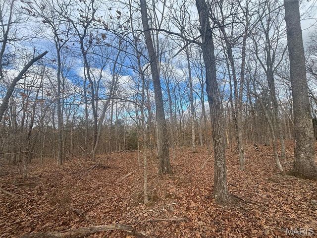 o Holtwick Trail, Robertsville, MO 63072