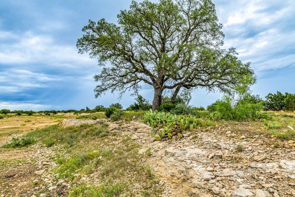 Image 8 of property listing at 0000 Private Rd, Sonora, TX 76950
