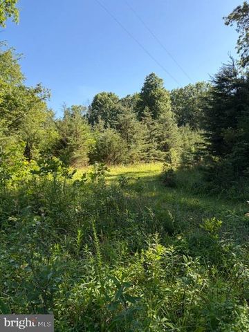 0 GOLD DALE RD, Locust Grove, VA 22508