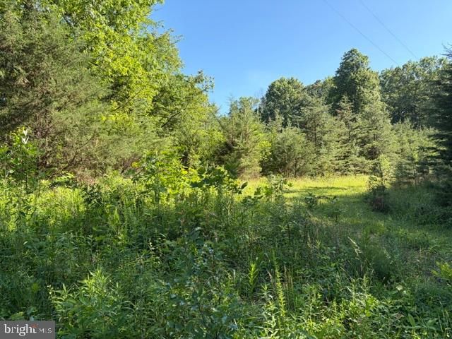 0 GOLD DALE RD, Locust Grove, VA 22508