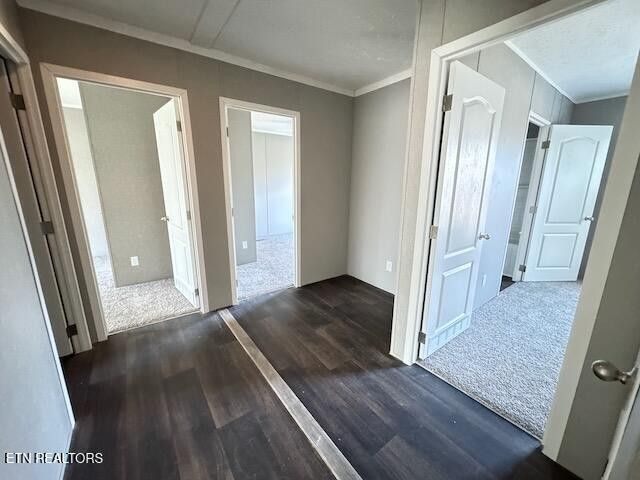 313 Salem Rd, Mcminnville, TN 37110