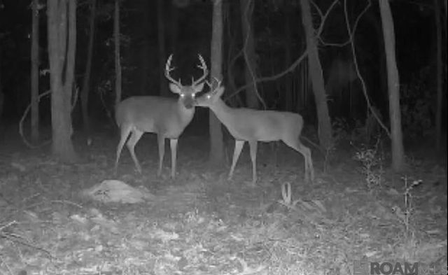 RS-2&3 La Hwy 16, Denham Springs, LA 70706