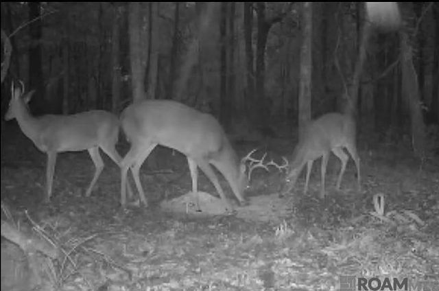 RS-2&3 La Hwy 16, Denham Springs, LA 70706