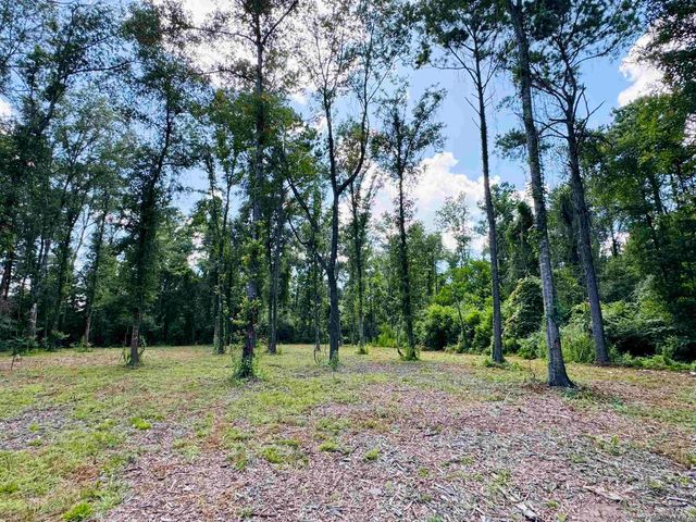 RS-2&3 La Hwy 16, Denham Springs, LA 70706