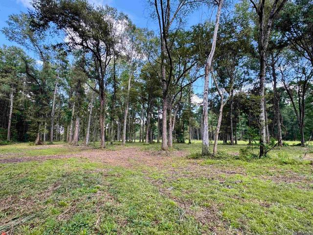 RS-2&3 La Hwy 16, Denham Springs, LA 70706