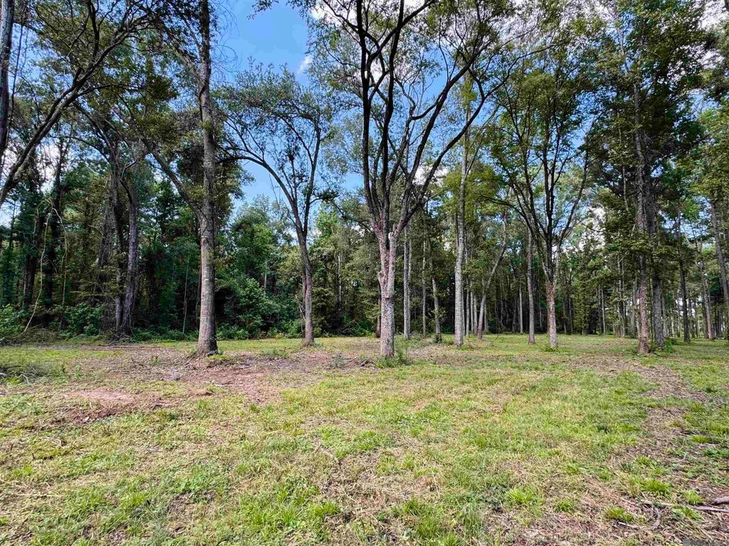 RS-2&3 La Hwy 16, Denham Springs, LA 70706