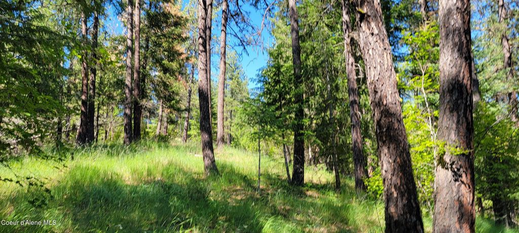 NNA S. Bobsled Trail, Coeur d'Alene, ID 83814 photo 10