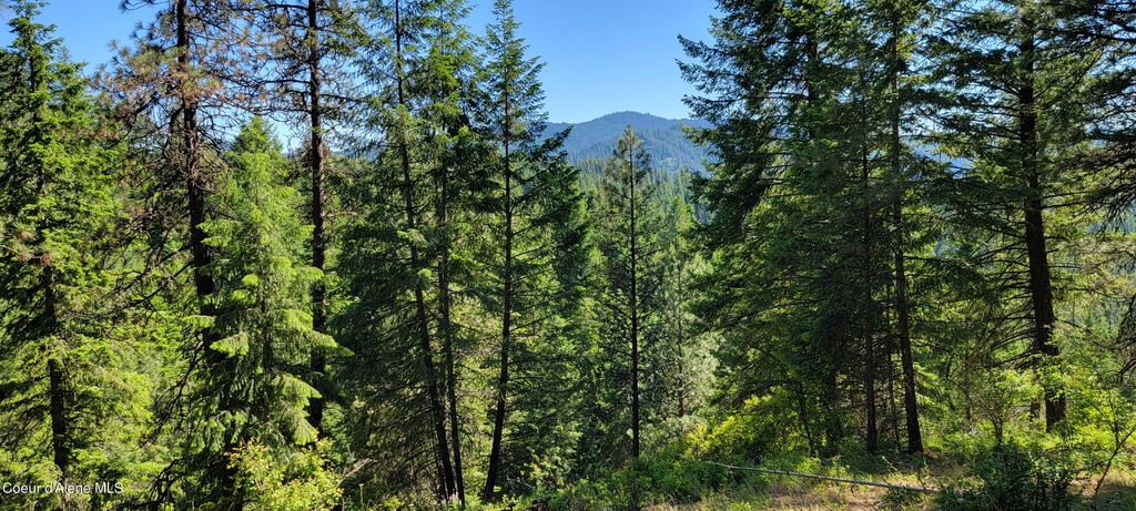 NNA S. Bobsled Trail, Coeur d'Alene, ID 83814 photo 11