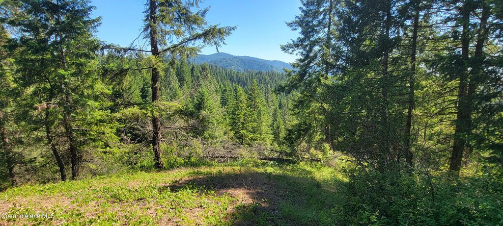 NNA S. Bobsled Trail, Coeur d'Alene, ID 83814 photo 12