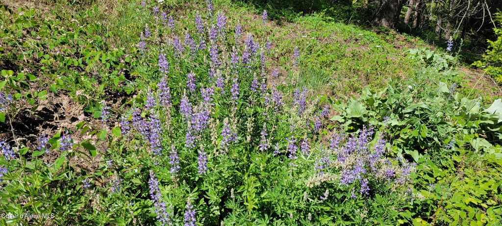 NNA S. Bobsled Trail, Coeur d'Alene, ID 83814 photo 13