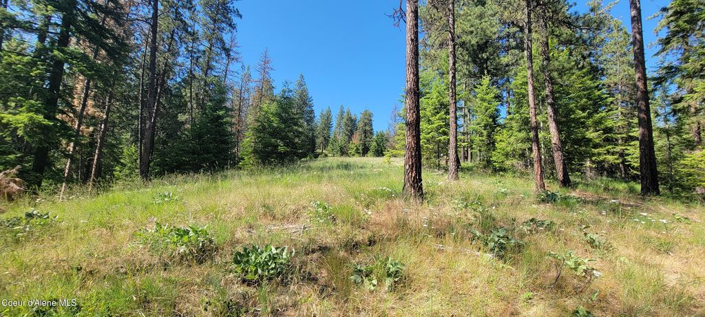 NNA S. Bobsled Trail, Coeur d'Alene, ID 83814 photo 14